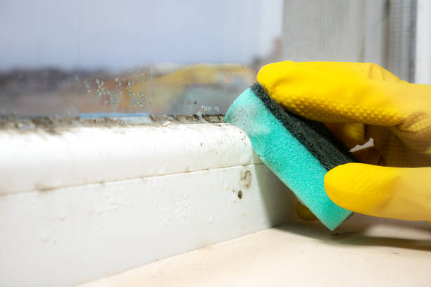 Mold Remediation for Vacation Homes in Big Timber, MT